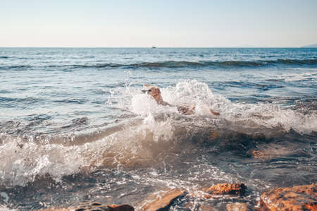 Happy cheerful golden retriever swimming running jumping plays with water on the sea coast in summer.の写真素材