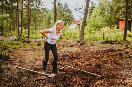 Senior gardener woman falls hurts back pain radiculitis digging at summer farm countryside outdoors using garden tools rake and shovel. Farming agriculture, retired active old age people conceptの写真素材