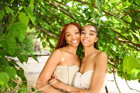 Close up outdoor portrait Beautiful young African American female black couple. Braids hair, perfect white teeth smiling, sisters friends hugging in sunny summer day. Cosmetology, skin care and spa.の写真素材
