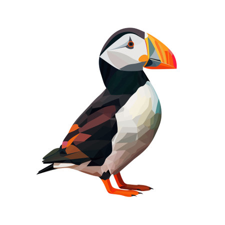 Atlantic puffin bird polygonal vector illustration isolated on white backgroundのイラスト素材
