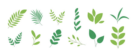 Set of different green abstract branches and leaves. Spring or summer collection. Botanical floral natural design elements. Vector flat illustration isolated on white backgroundのイラスト素材