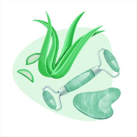 Gua sha scraper, jade roller for facial massage and aloe leaves.のイラスト素材