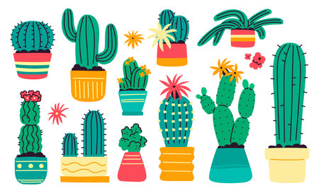 A set of various cacti in flower pots on a white background.のイラスト素材