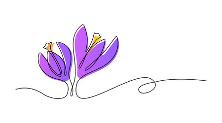 Spring flowers crocus drawn by one line. Vector illustration on a white background.のイラスト素材