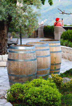Wine casks at the winery. Wine barrels outside of wine cellar in the garden of a picturesque...