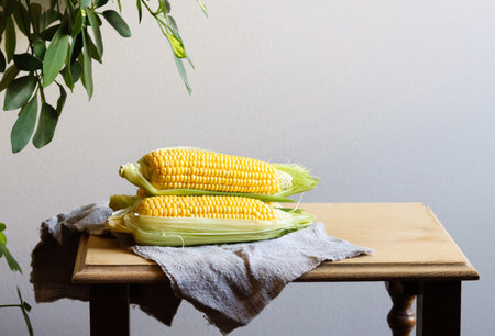 Fresh corn cobs with leaves on a wooden table over gray wall background. Raw corncobs on a light brown wooden table in rustic style. Corn on cobs live photo with natural lightning, village styleの写真素材