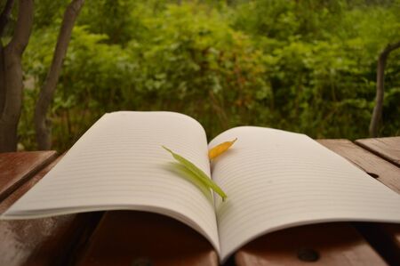 nature and readingの写真素材