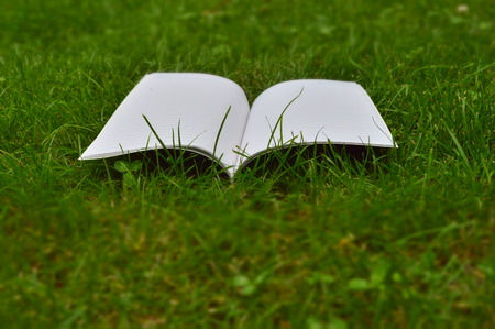 a book on grassの写真素材