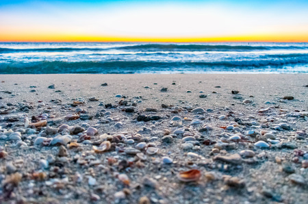 seashells and pebbles on a sandy beach shore with waves and morning sky in the backgroundの写真素材