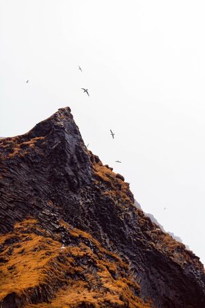 Famous black basalt mount a near the black beach Reynisfjall, Vik, South Icelandの写真素材