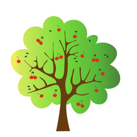 Vector illustration of the green tree with cherries.のイラスト素材