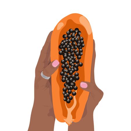illustration of a hands holding fresh papaya piece isolated on white backgroundのイラスト素材