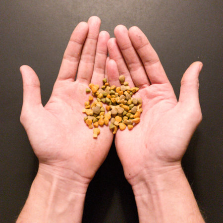 Hands holding cat food