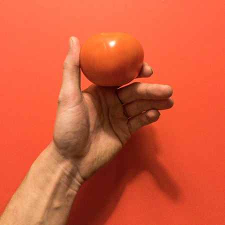 Hand holding a tomatoの写真素材