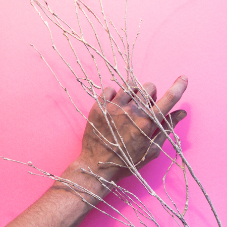Hand under a twigの写真素材