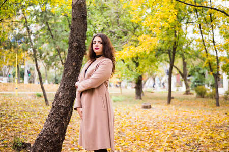 curly haired girl in the autumn parkの写真素材