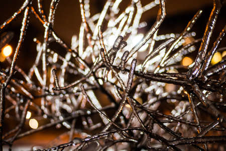 Winter fairy tale. Frozen branches of trees and firs. Night winter.の写真素材