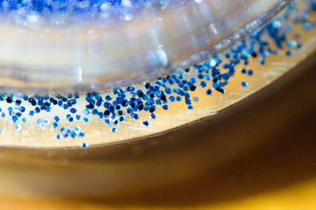 blue glider close-up