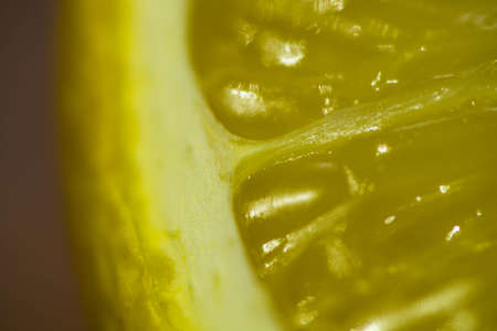 lemon macroの写真素材