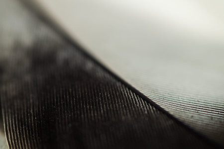 black and white pen close-up
