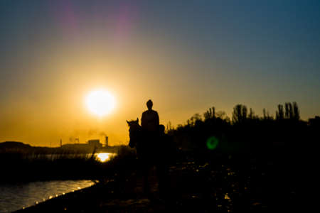 Silhouette of a girl riding a horse at sunsetの写真素材