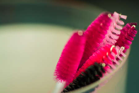 Specialist eyelashes in the beauty salon increases eyelashes clientの写真素材