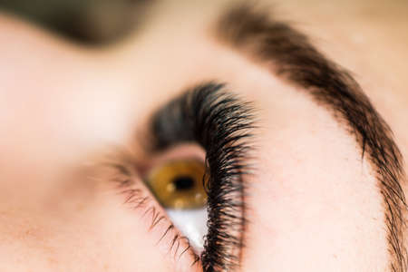 Specialist eyelashes in the beauty salon increases eyelashes clientの写真素材