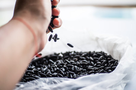 Black beans in a polyethylene package