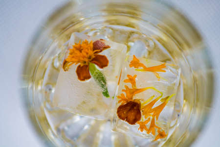 Frozen flower in an ice cubeの写真素材