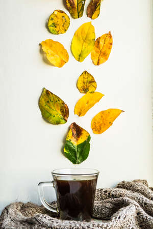A cup of hot coffee is on the windowsill on a pile of books, steam comes out of the cup in the form of autumn yellow leaves.の写真素材
