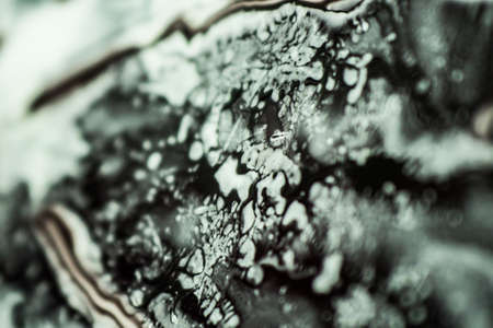 Black and white abstraction.の写真素材