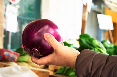 fresh raw fruits and vegetables at the local market in Italy, Sicily, tomatoes, eggplant, caの写真素材