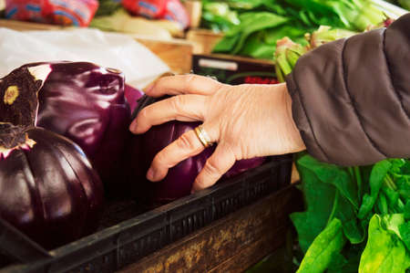 fresh raw fruits and vegetables at the local market in Italy, Sicily, tomatoes, eggplant, caの写真素材