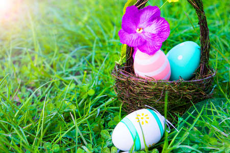 easter eggs hiding in the grassの写真素材