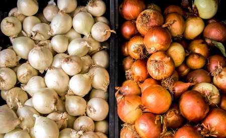 white and golden onion, background, foodの写真素材