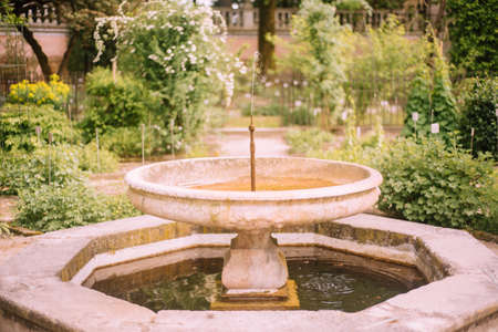 Old traditional garden with pathways and fountainの写真素材