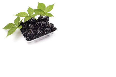 Fresh blackberry with green leaves - isolatedの写真素材