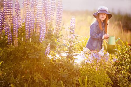 Girl with the watering can in the gardenの写真素材