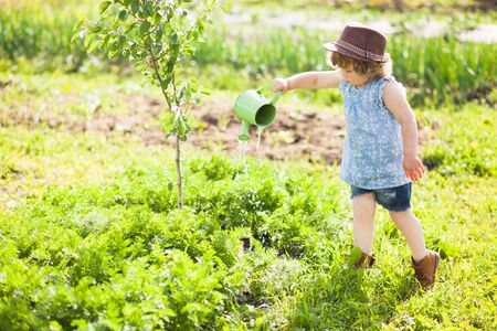 Toddler girl watering vegetable garden bedの写真素材