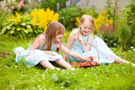 Happy laughing little sisters having fun feeding each other organic strawberries in the garden. Warm summer day. A delicious vitamin diet. Family active rest. Friendship of sisters. Relationship in the family.の写真素材