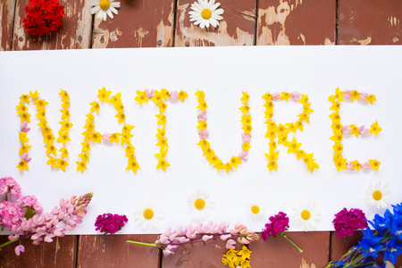 Word NATURE written with yellow flowers on white, nature conceptの写真素材