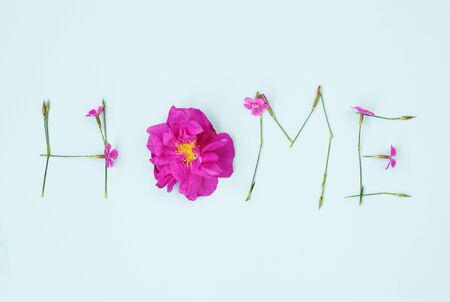 Word HOME made of flowers on light blue backgroung.  carnation and wild rose flowersの写真素材