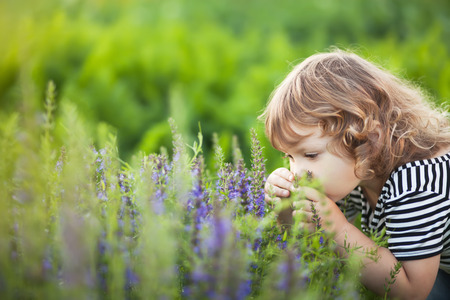 Cute little toddler girl smelling purple flowers. Provence consept. allergy concept. Healthy kid consept. Copyspace, empty space for text.の写真素材