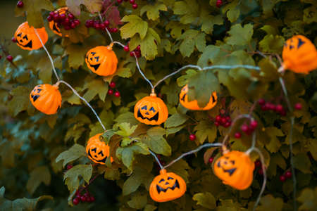 Halloween jack o lantern garland on a tree, autumn dayの写真素材