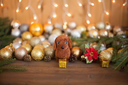 Year of the dog. Dog with a gift on a wooden background. Christmas balls, pine cones, a composition of the new year in golden color. The year of the dog on a horoscope symbol.の写真素材
