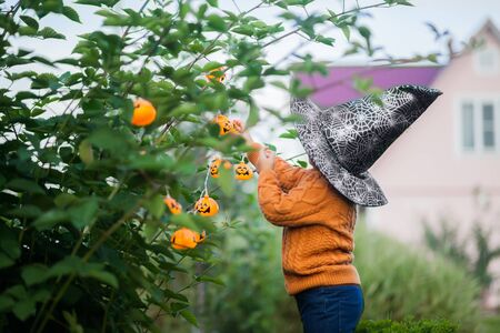 Adorable smiling toddler girl decorating garden for halloween with jack-o-lantern garlandの写真素材