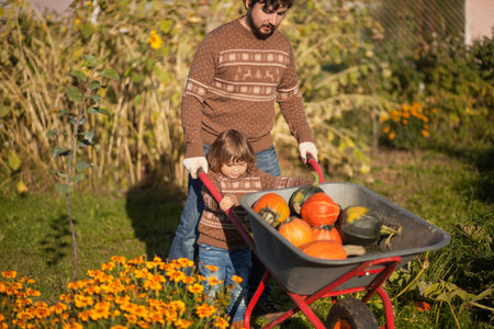 Family working at the farm, countryside. Toddler gardener in the garden, autumn harvest, fall season, having fun together, little helperの写真素材