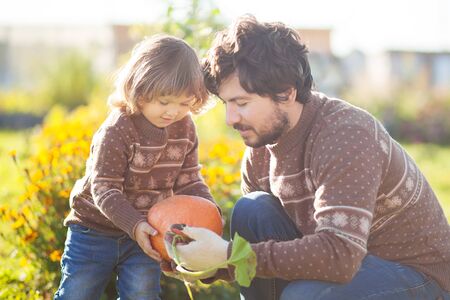 Father and child working at family farm, countryside. Little gardener in the garden, autumn harvest, fall seasonの写真素材