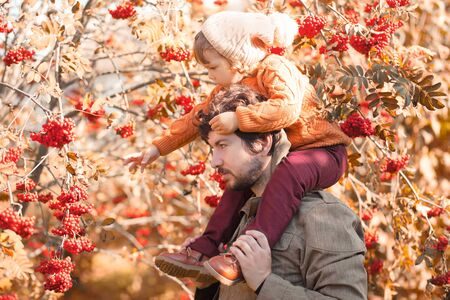 Father and his little daughter walking together at the park or forest, fall day. single parent. rowan at the backgroundの写真素材