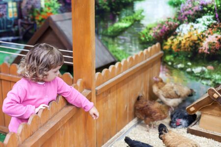 Children contact exotic zoo, little kid wathing farm animalsの写真素材